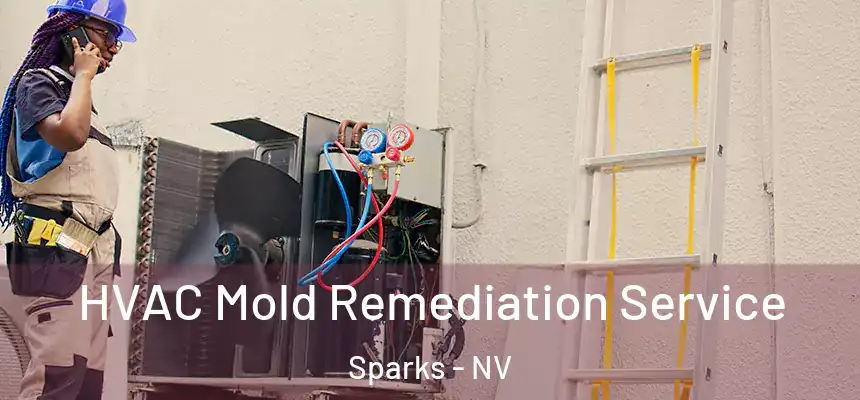  HVAC Mold Remediation Service Sparks - NV