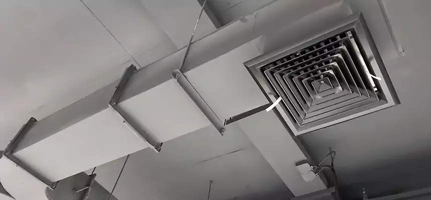 Restorative Allergy Relief Vent Cleaning – Coil, Blower & Housing Detail in Sparks