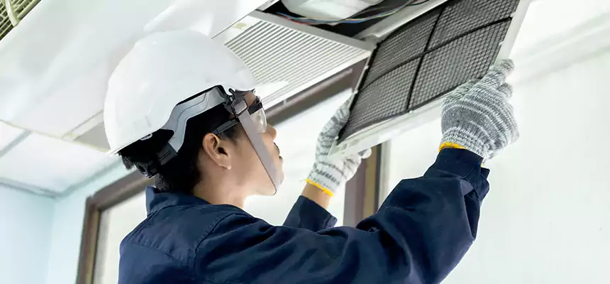 Our Mold & Mildew Removal from Air Ducts Services in Sparks, NV