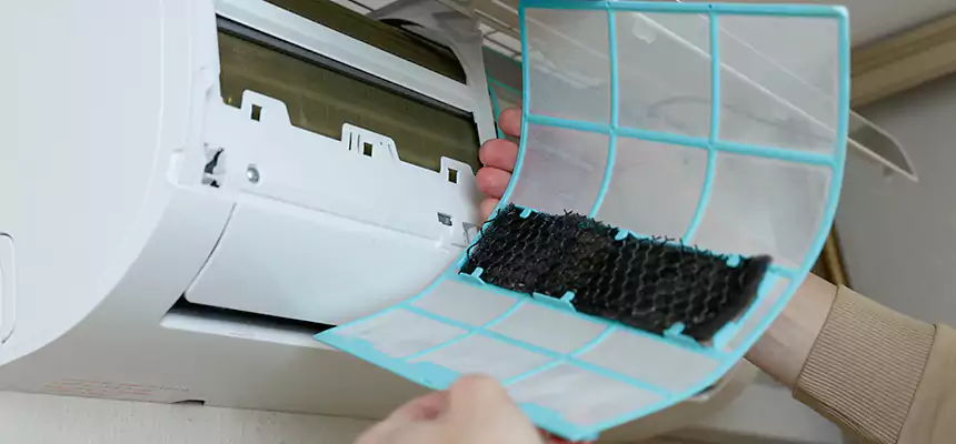 Gentle Ductwork Odor-Control Pet Dander Duct Cleaning in Sparks, NV