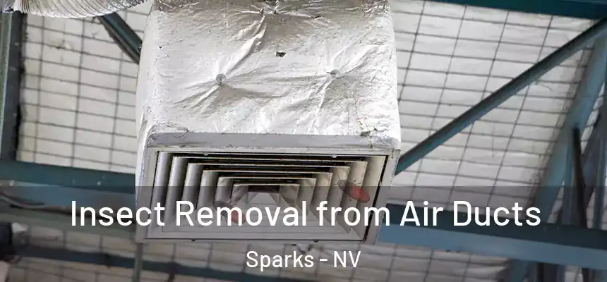  Insect Removal from Air Ducts Sparks - NV