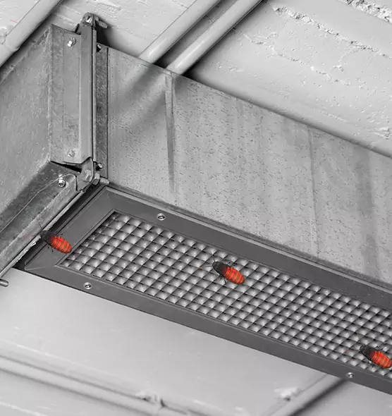 About Air Duct Cockroach Removal in Sparks, NV
