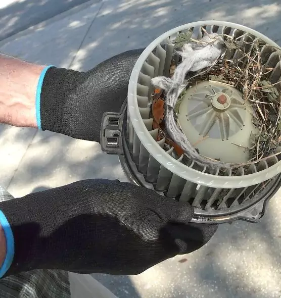 About Air Duct Rat Removal in Sparks, NV