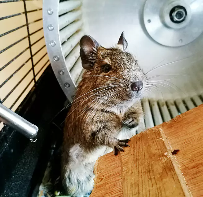 Why Homeowners & Businesses Trust Us Sparks, NV