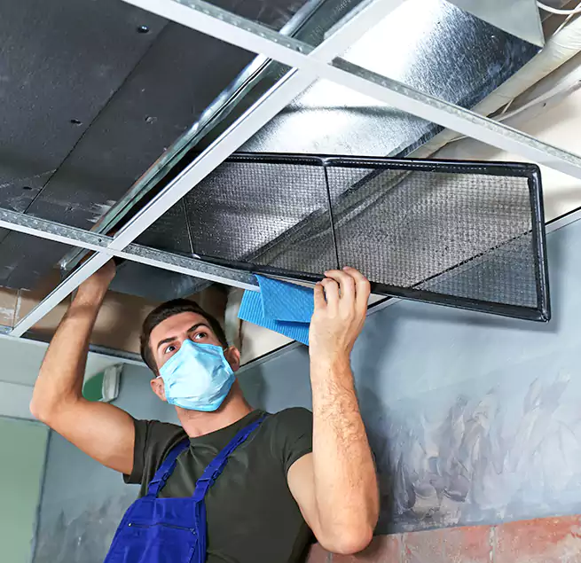 Why Homeowners Businesses Trust Us in Sparks, NV