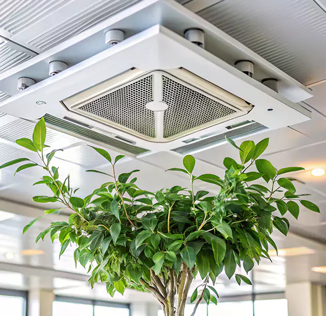 Why Homeowners & Businesses Trust Us in Sparks, NV