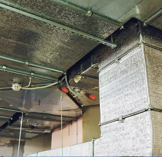 Why Homeowners & Businesses Trust Us Sparks, NV?